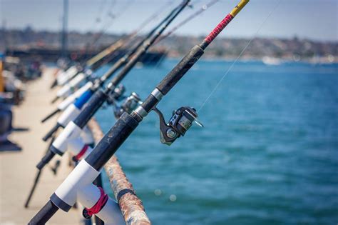 Pier Fishing Tips for Beginners for 2025 .